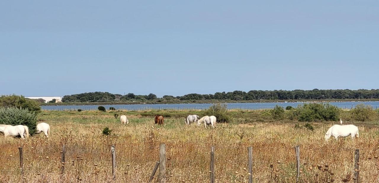 La Cigale De Mer A 100 M De La Plage Et Du Centre Ville Du Grau Du Roi Le Grau-du-Roi Bagian luar foto